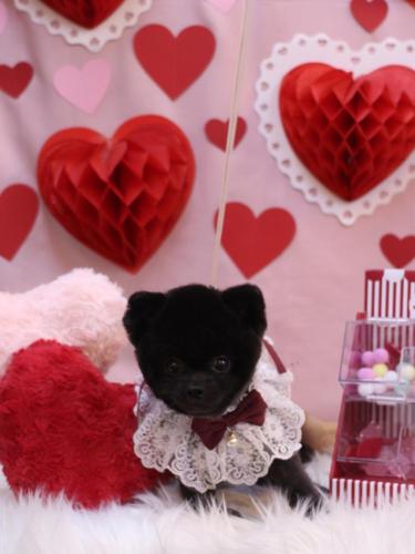 20240216ぽんずくん